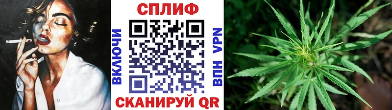 Купить наркотик Губкин A-PVP Cocaine Амфетамин Конопля ГАШИШ