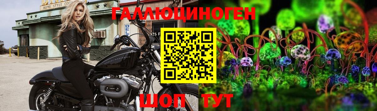 Псилоцибиновые грибы Cubensis  Галлюциногенные грибы MAGIC MUSHROOMS  Губкин 