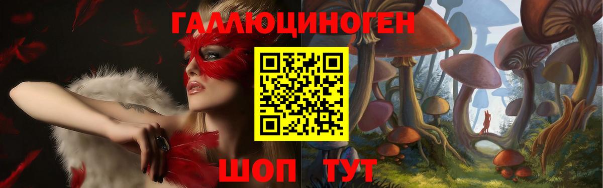 Губкин  Псилоцибиновые грибы ЛСД  Вход с VPN 