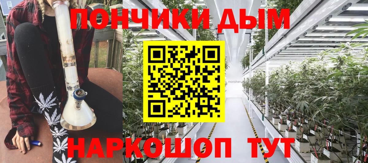 Каннабис конопля Губкин